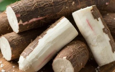 Conservar Mandioca na Geladeira: O Truque da Água