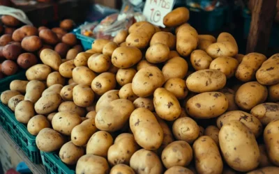 Conservar Batata na Geladeira: O Guia Definitivo e Seguro