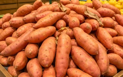 Pare de Conservar Batata Doce na Geladeira!