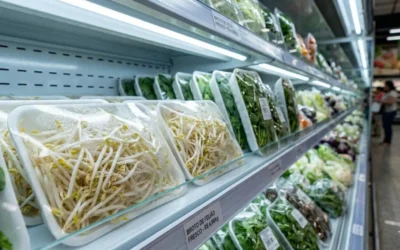 Segredos para Conservar Broto de Feijão Hoje